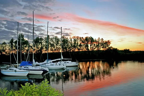 Yachting Stille Havn Tidlig Ved Daggry Bakgrunn Silhuetter Trær – stockfoto