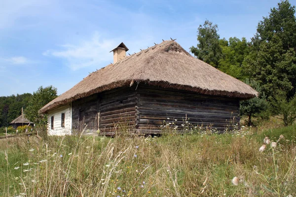 Casa Madeira Velha Entre Folhagem Densa Está Museu Livre Dia — Fotografia de Stock