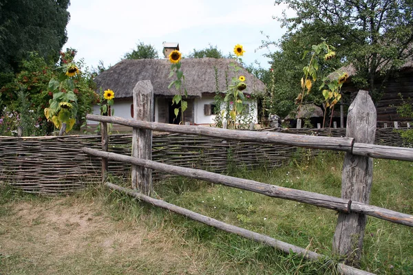 Casa Rural Velha Com Telhado Colmado Atrás Uma Cerca Feita — Fotografia de Stock