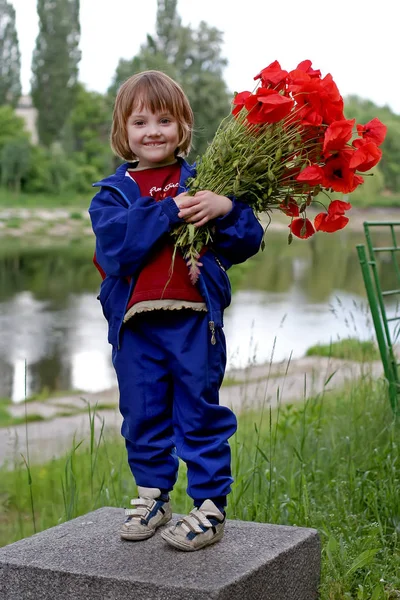 かわいい小さな女の子は花束のポピーを保持しています — ストック写真