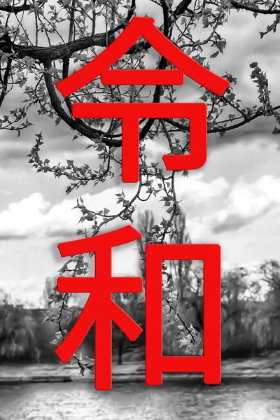 令和時代の令和時代 木の枝や空の黒い白い背景に日本の次の時代 日本語の文章は令和 — ストック写真