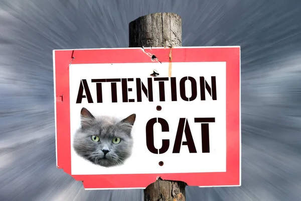 Warning Sign Danger Located Wooden Post Picture Cat Concept Danger — Stock Photo, Image