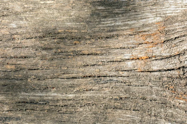 Background Texture Old Wooden Plank Gray Cracked Knots Remnants Orange — Stock Photo, Image