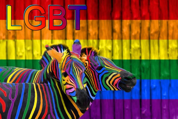 ルブトの旗の背景には 虹色に塗られた2つのカラフルなシマウマが抱きしめられている 同性愛と男女共同参画の概念 Lgbt — ストック写真