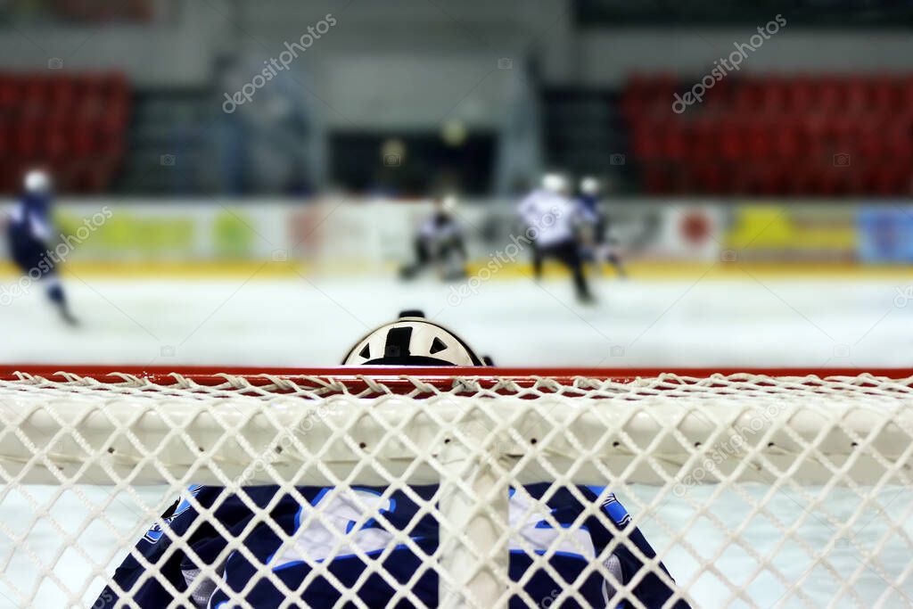 The goalkeeper of the hockey team is at the gate. Back view