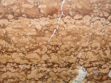 Mermer kahverengi. Arkaplan dokusu. Deniz Kabuğu Taşlaşmış Fosil