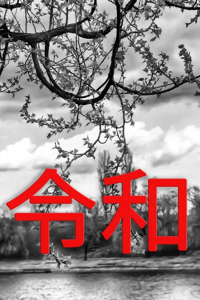 Reiwa时期的Reiwa Jidai 日本的下一个时代是黑白相间的树枝和天空 日文文本为Reiwa — 图库照片