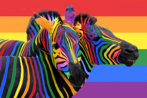 Igbt bayrağının arka planına gökkuşağının renklerine boyanmış iki renkli zebra sarılıyor. Eşcinsel aşk ve cinsiyet eşitliği kavramı..