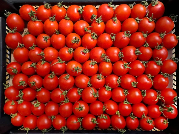 Πλήρες Κουτί Ώριμες Κόκκινες Ντομάτες — Φωτογραφία Αρχείου