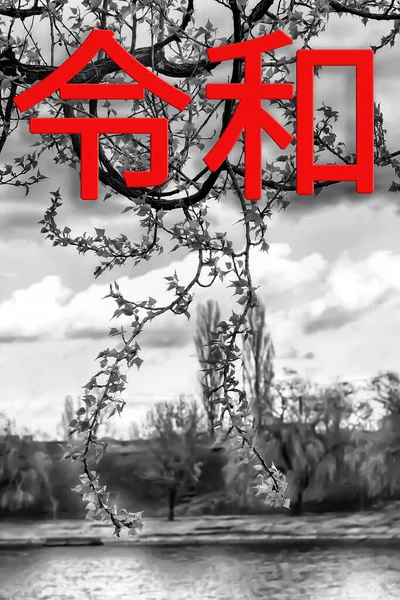 令和時代の令和時代 木の枝や空の黒い白い背景に日本の次の時代 日本語の文章は令和 — ストック写真