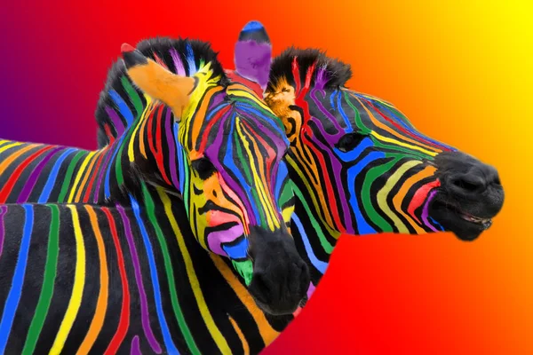 Zwei Bunte Zebras Gemalt Den Farben Des Regenbogens Kuscheln Auf — Stockfoto