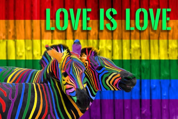 ルブトの旗の背景には 虹色に塗られた2つのカラフルなシマウマが抱きしめられている 同性愛と男女共同参画の概念 愛は愛です — ストック写真