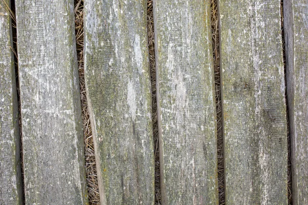 Wooden Old Boards Gray Green Color Horizontally Arranged Boards You — Stock Photo, Image