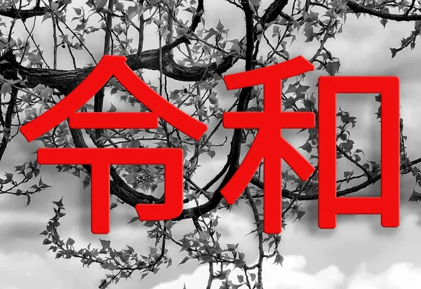 令和時代の令和時代 木の枝や空の黒い白い背景に日本の次の時代 日本語の文章は令和 — ストック写真