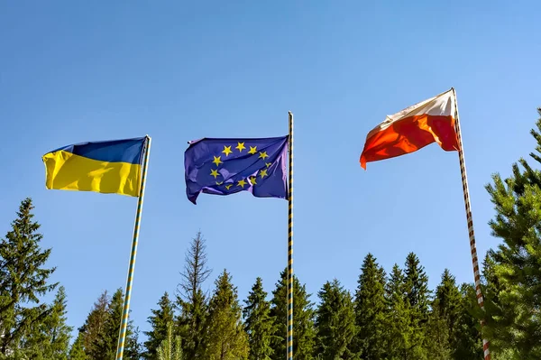 Flags of Ukraine of the European Union and Poland. Three flags on the background of a beautiful blue sky and green trees.