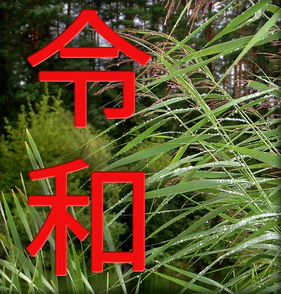 Период Рейва Рейва Джидай Следующая Эра Японии Фоне Зеленой Травы — стоковое фото
