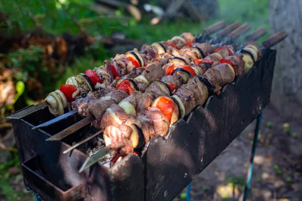 Espetos Não Cozidos Natureza Espetos Livre Kebab Shish Natureza Crua — Fotografia de Stock