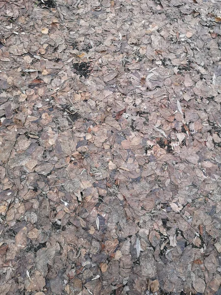 Granit Textur Marmor Schichten Design Graue Steinplatte Oberfläche Korn Stein — Stockfoto