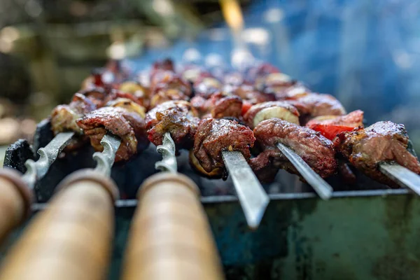 Şişler Doğada Açık Havada Şişlerde Pişmemiş Şiş Kebap Doğanın Çiğ — Stok fotoğraf