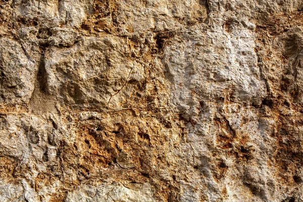 Superfície Pedra Áspera Com Cockleshell Rachado Textura Fundo — Fotografia de Stock
