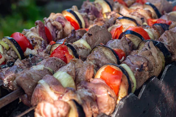 Espetos Não Cozidos Natureza Espetos Livre Kebab Shish Natureza Crua — Fotografia de Stock