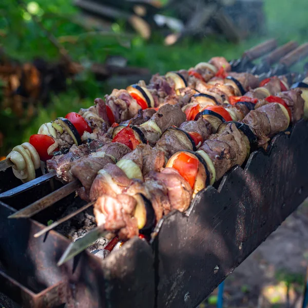 Espetos Não Cozidos Natureza Espetos Livre Kebab Shish Natureza Crua — Fotografia de Stock