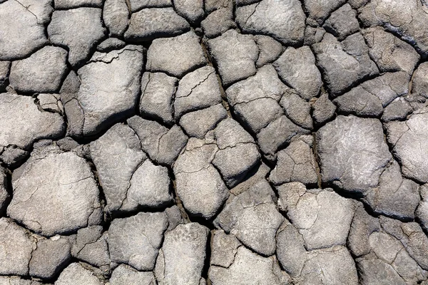 Trockenheit Getrocknete Rissige Erde Risse Ton Wasserknappheit Die Hitze Der — Stockfoto