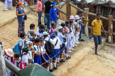 Okul üniformalı çocuklar Pinnawala 'daki bir fil barınağında filler üzerinde çalışıyorlar. Sri Lankalı okul çocukları okul gezisinde. Pinnaval, SRI LANKA - 10.13.2016