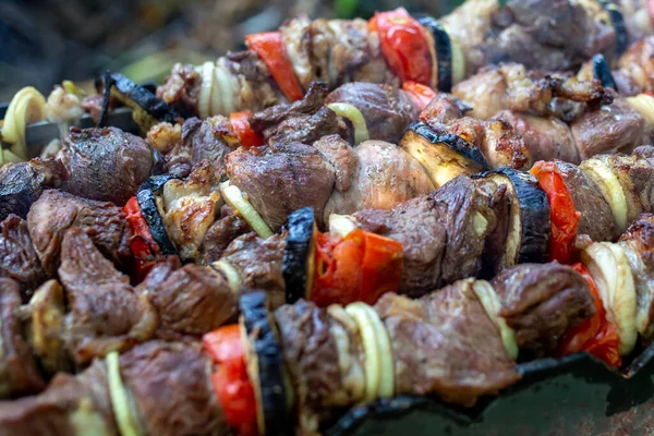 Espetos Não Cozidos Natureza Espetos Livre Kebab Shish Natureza Crua — Fotografia de Stock