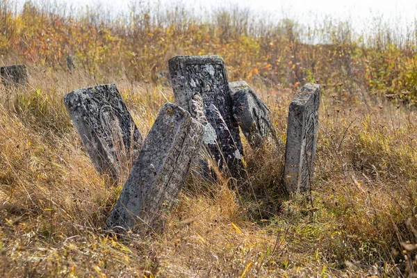 Alter Jüdischer Friedhof Herbst Grabsteine Auf Einem Hintergrund Aus Trockenem — Stockfoto