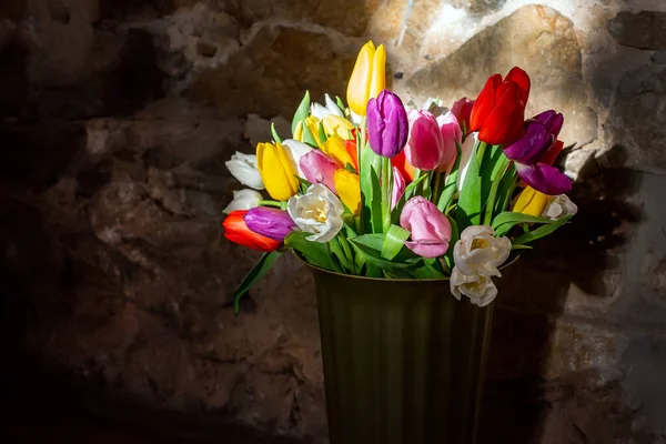 A bouquet of multi-colored tulips in a large vase against a stone wall. A ray of light in the dark illuminates a bouquet of tulips. Space for inscription, copy space.