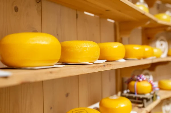 Dutch Yellow Cheese Rounds Wooden Shelves Store Amsterdam Holland — Stock Photo, Image