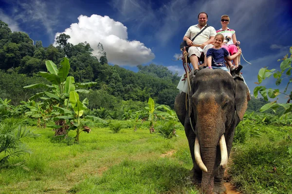 Riding an elephant. A young family with a child ride an elephant on a background of green jungle and a beautiful blue sky with clouds. close-up