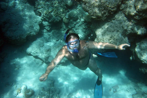 Maskeli dalgıç mercanı ve yüzgeçleri mavi suyun arka planına karşı yüzeye çıkar.