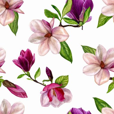 Suluboya resimler el boyalı. Beyaz bir arka planda Ambalaj Kağıt, kumaş, arka plan, vb tasarımınız için seamless modeli. Suluboya ve elle yapılan sanat eserleri, bahar arka plan, kart düğün. 