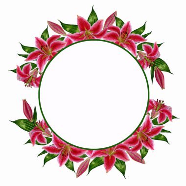 Beyaz arka plan üzerinde lily çiçek çelenk. El yapımı bir suluboya çizimi. Tasarım, kartpostallar, çerçeveler, düğün tasarımları, dokular, vb için.