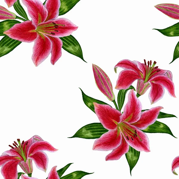 Seamless pattern with beautiful pink lily flowers on a white background. For your design wallpaper, fabric, background website, wrapping paper, etc.