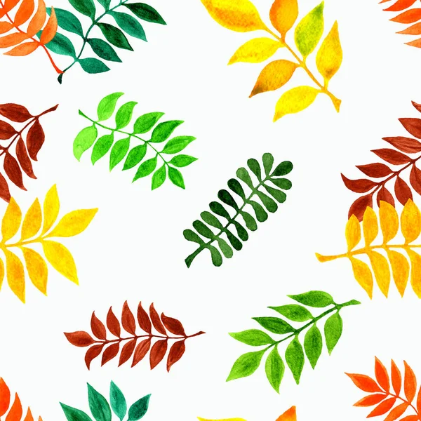 Pattern Autumn Leaves White Background Hand Drawn Watercolor Illustrations Ideal — Stock Photo, Image