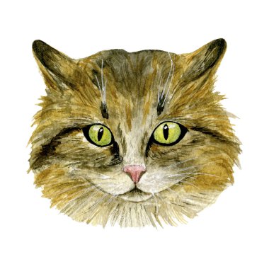 Beyaz zemin üzerine suluboya bir kedi namlu. Sanat poster, kartları, çıkartmalar, vb iyi baskı bir t-shirt almak için. El boyaması kedi illüstrasyon. İzole kedi.