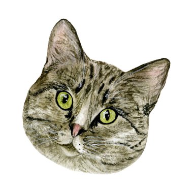 Sulu boya kedi, namlu el boyaması, resimde beyaz zemin üzerinde. Büyük t-shirtler, yastıklar, posterler, kartpostal, etiket üzerinde parmak için.