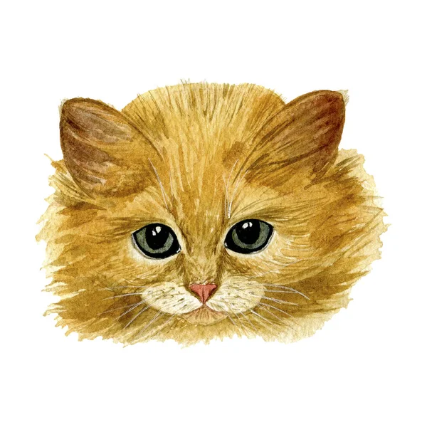 猫のイラスト手描き 孤立した猫 水彩顔マフ シャツ ポスター カード ステッカーなどの印刷に最適 — ストック写真