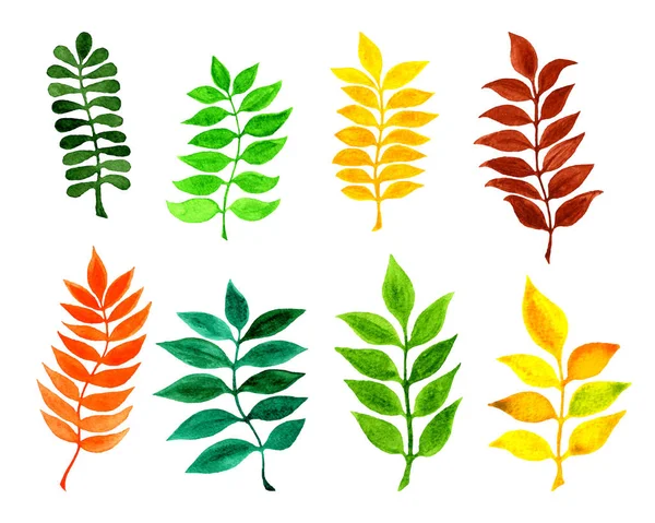 Reihe Von Herbstblättern Florale Gestaltungselemente Perfekt Für Einladungen Grußkarten Blogs — Stockfoto