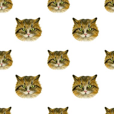 Bir kedi namlu ile Seamless modeli. Suluboya. Resimde çizilmiş. Tekstil, arka planlar, ambalaj kağıdı, vb. için mükemmel.
