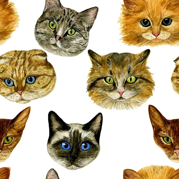 Modello Senza Cuciture Con Muso Gatto Illustrazione Disegnata Mano Acquerello — Foto Stock