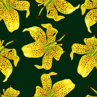 Çiçek desenli duvar kağıdı veya kumaş. Suluboya resim el boyalı. Bahar çiçekleri lily ile Seamless modeli. Güzel tasarım duvar kağıtları, tekstil, kumaş, ambalaj kağıdı, arka plan için. Arka plan elle çizilmiş.