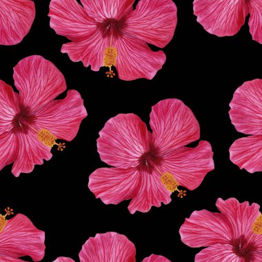Hibiscus çiçek ile sorunsuz çiçek desenli. Çiçek desenli kumaş veya duvar kağıdı için. Suluboya resim el boyalı. Kumaş, ambalaj kağıdı, arka plan için mükemmel.