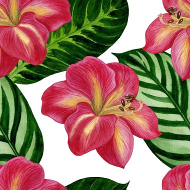 Amaryllis çiçek ve yaprakları ile Dikişsiz tropikal desen. Suluboya çizimi el boyalı. Kumaş, ambalaj kağıdı, arka plan için mükemmel.