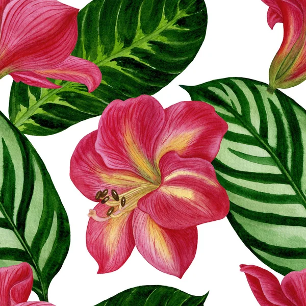 Amaryllis çiçek ve yaprakları ile sorunsuz çiçek desenli. Suluboya çizimi el boyalı. Kumaş, ambalaj kağıdı, arka plan için mükemmel.