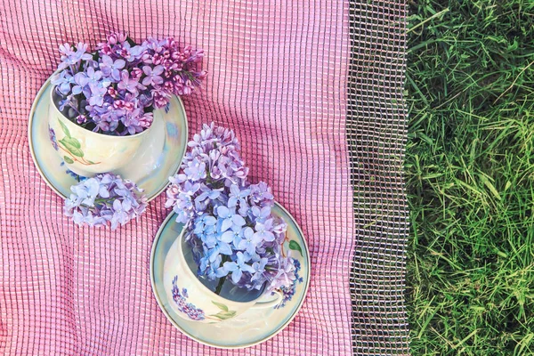 Xícara Chá Com Pires Flores Conjunto Chá Jardim Vista Topo — Fotografia de Stock