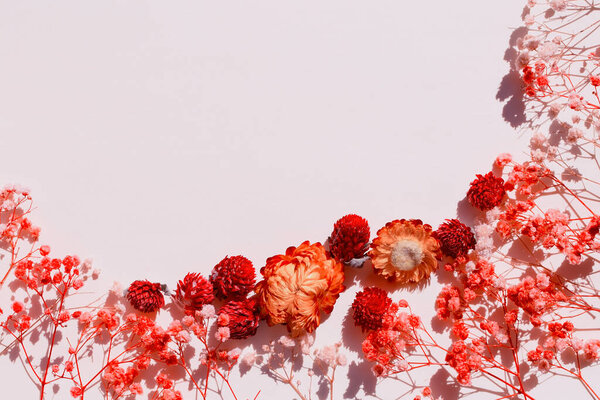 Red dry flowers on a white paper background, flat lay design, copy space in the center of the frame, layout for an invitation, greeting, or header.
